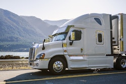 Adobe Stock 299208013