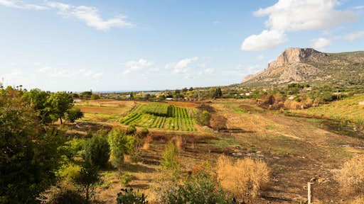 The creation of a “food forest” reproducing the natural eco-system in Sicily.
