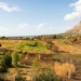 The creation of a “food forest” reproducing the natural eco-system in Sicily.