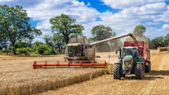 Adobe Stock 89579937