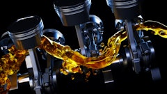 Adobe Stock 255321623