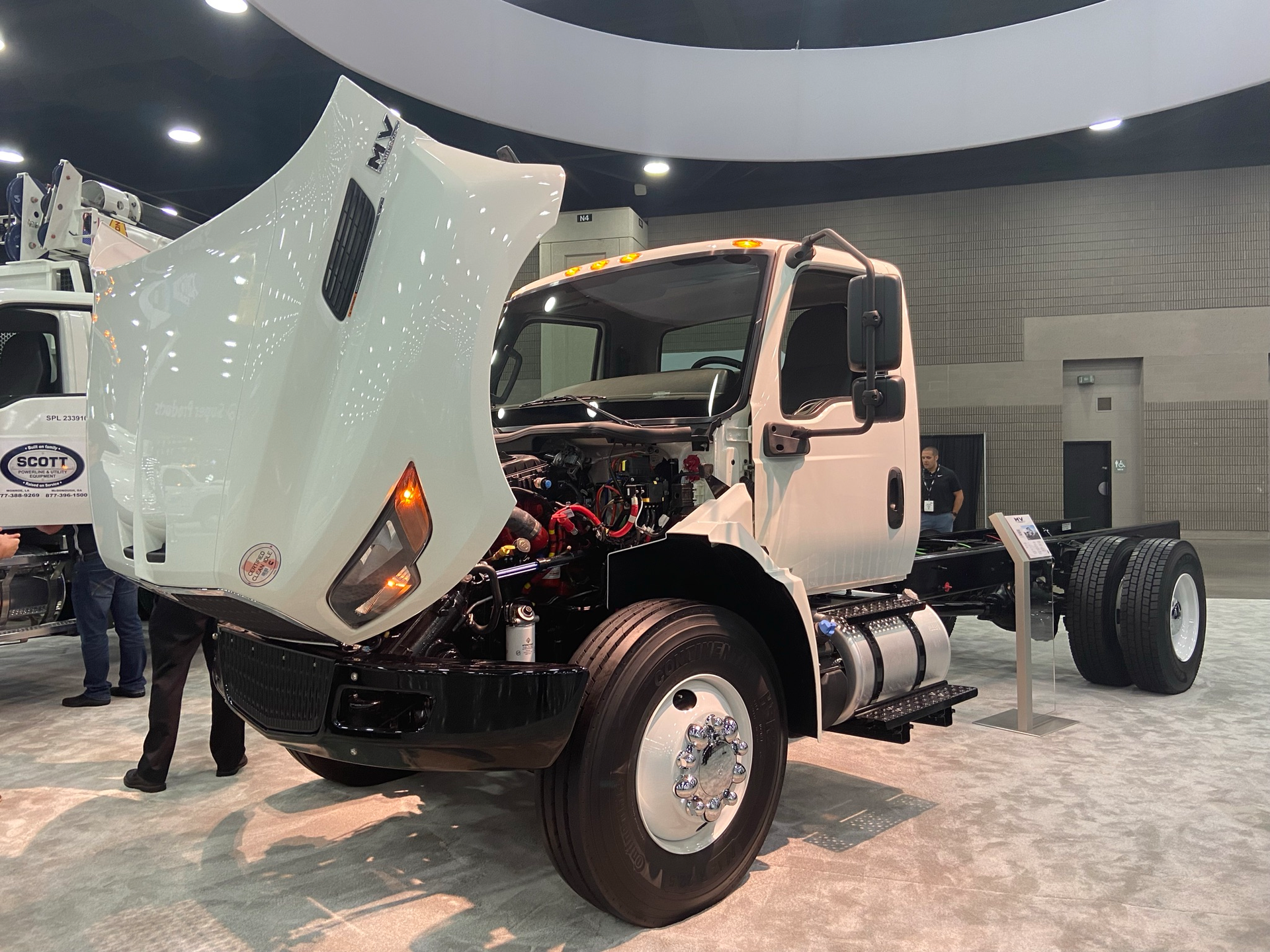 Img 3151 61941fc2991d9