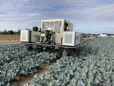 The RoboVeg Robotti uses two robotic arms for broccoli harvesting.