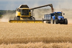 Adobe Stock 261476113