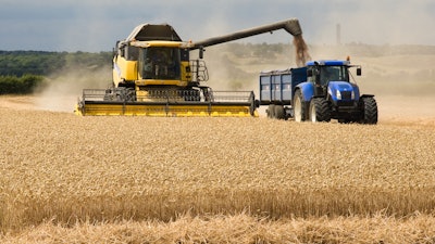 Adobe Stock 261476113