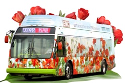 Axess%20 Bus