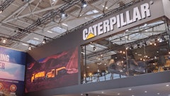 Cat 1