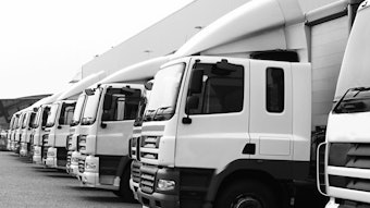 Adobe Stock 204293849