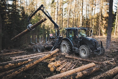 FORESTLAND (cross-ply construction)