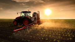 Adobe Stock 504413749