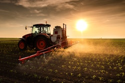 Adobe Stock 504413749