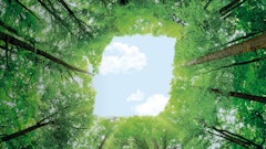 E18f0dd8 4684 D403 D4bc A0ade388d0da