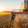 For agricultural and industrial equipment manufacturers, ITC enforcement offers several strategic advantages.